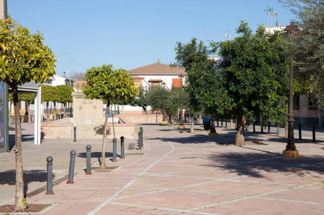 La Palmera * Almodóvar del Río